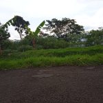 Tanah kebun datar cocok untuk vila dan istirahat keluarga