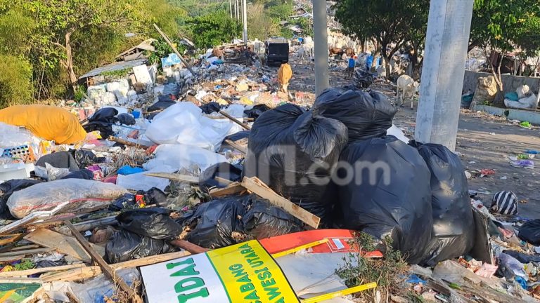TPA Jatibarang Semarang Menghadapi Kekurangan Kapasitas Penampungan Sampah