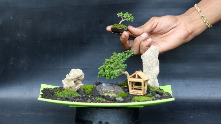 Cara Mudah Memulai Bonsai bagi Pemula: Panduan dan Tips Cepat Sukses