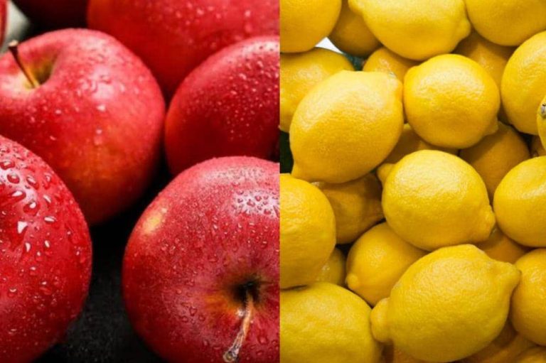 7 Perbedaan Cuka Apel dan Lemon, Jangan Salah Pilih