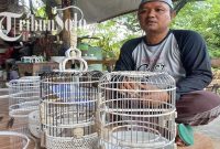 Attachment for Transformasi Sangkar Burung Eank Solo, Manfaatkan Limbah Jadi Berkah
